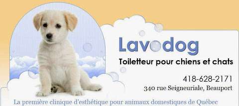 Salon Lavodog